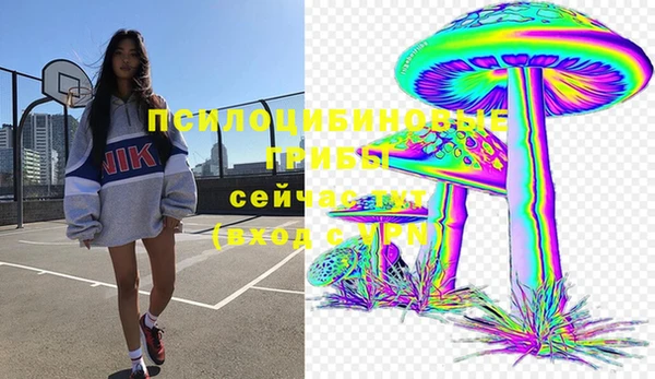 стаф Армянск