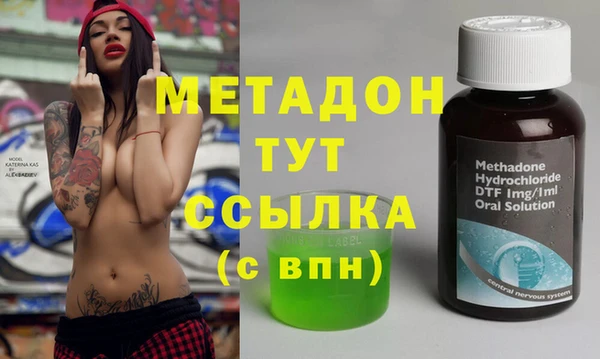 индика Аркадак