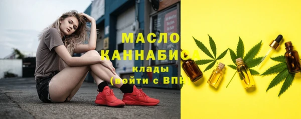 индика Аркадак