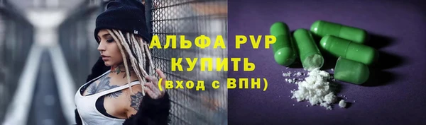 индика Аркадак
