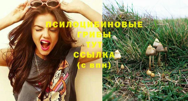 Альфа ПВП Арсеньев