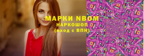 индика Аркадак