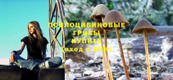 стаф Армянск