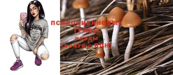 индика Аркадак