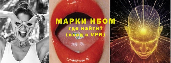 индика Аркадак
