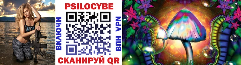 Галлюциногенные грибы Psilocybe  Купить закладки  Новокузнецк 